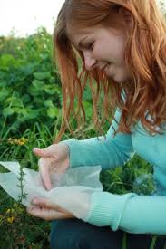 The Urban Wildlands Group, Inc.