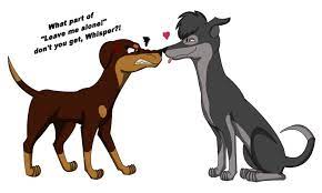 The humans are gone—and a new animal is ready to rule the wild. Stormxwhisper By Pandafilmsg On Deviantart Survivor Warrior Cats Dog Rules