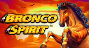 Bronco Spirit