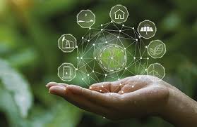 A Guide to Understanding Carbon Offsets - RTF | Rethinking The Future