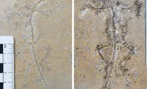 Mika lafuente pirn that was nothing like the one three-way