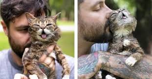 Even though your pet may not be as agile as they once were, their joints thrive on daily activity. 7 Things Your Deceased Pet Would Want You To Know