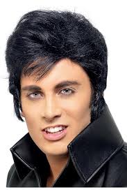 Mens Popstar Wig Adults 1950s Rockstar Icon Quiff Costume Accessory One  Size : Amazon.co.uk: Toys & Games