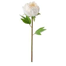 Plantes Et Fleurs Artificielles Ikea Fleurs Artificielles Ikea Fleurs Artificielles Plantes Artificielles