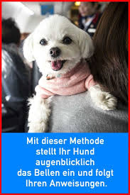 With This Method Your Dog Immediately Stops Barking And Follows Your Instructions Barking Dog Hundehandwerk Immediate 2020 Kopek Ev Kopekleri Kopek Egitimi