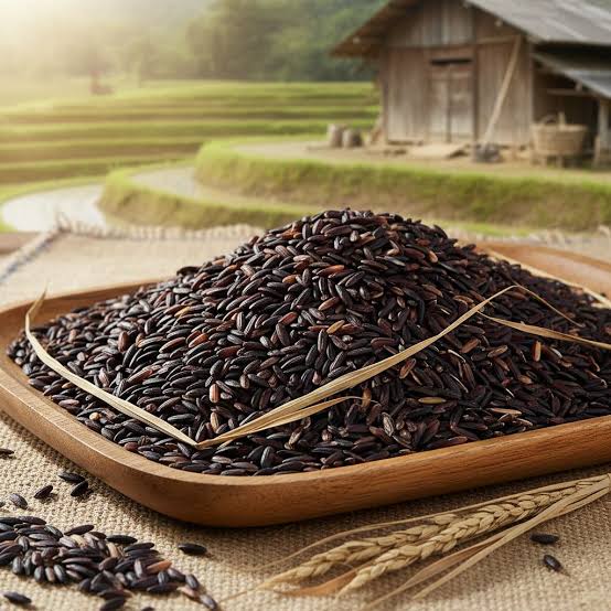 Black Rice