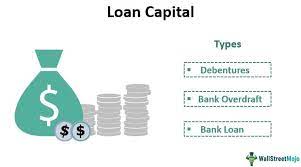 Deeper definition when borrowing money, the amount borrowed, called the principal , plus the interest, which is what the lender charges for loaning the money, must be repaid. Loan Capital Definition Types Advantages Disadvantages