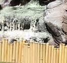 Amazon.com : FOREVER BAMBOO Black Bamboo Garden Border ...