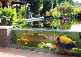 Outdoor Aquarium Outdoor Fish Tank Koi Pond Koi Fish Pond