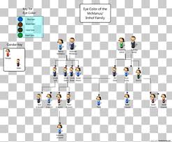 Pedigree Chart Eye Color Genetics Family Tree Dominance Eye