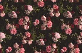 Multiple sizes available for all screen sizes. Pink Black Dark Moody Floral Pattern Wallpaper Mural Hovia