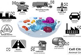 Maybe you would like to learn more about one of these? News University Of Pretoria