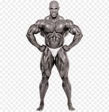 Desktop, tablet, iphone 8, iphone 8 plus, iphone x, sasmsung galaxy, etc. One Of The Greatest Bodybuilders In History Ronnie Ronnie Coleman Full Body Png Image With Transparent Background Toppng