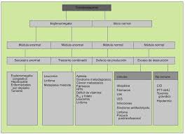 Solamente incluye la radicación y la sufijación de la palabra trombocitopenia. Un Paciente Con Plaquetopenia Medicina Integral