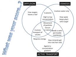 Learning should be simple, enjoyable, and efficient. Osmosis And Diffusion Venn Diagram Osmosis Venn Diagram Biochemistry Notes