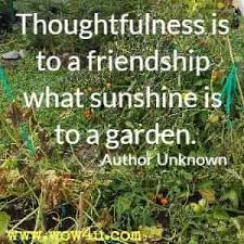 51 Sunshine Quotes Inspirational Words Of Wisdom