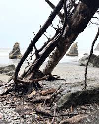 Chris Kukelhan (@chriskukelhan) • Threads, Say more