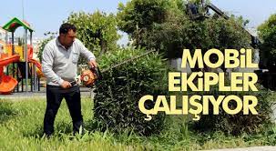 Şti.' isimli şirket i̇stanbul ili üsküdar ilçesi altunizade mahallesinde yeralmaktadır. Akdeniz De Park Ve Bahcelerin Bakim Calismalari Hiz Kazandi Mersin Haber