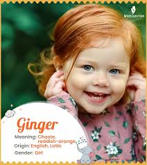 Ginger Name Meaning, Origin, History, And Popularity