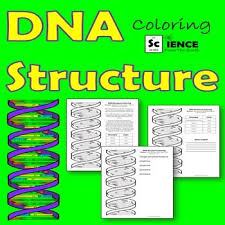 Dna Structure Double Helix Coloring Printable Worksheet Teaching Printables Informational Text Science Resources