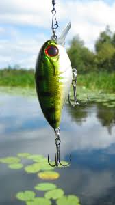Get free computer wallpapers of fishing. Sports Fishing Wallpaper Zip File Two Boy S Sitting On Log While Fishing Beside River Hd Free Hd Wallpaper Images Pictures Of Fishing Download Photos Of Sport For Your