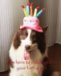 Happy Birthday Images And Memes Para Android Apk Baixar