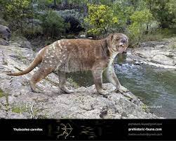 Marsupial Lion Thylacoleo Carnifex Prehistoric Animals Animals Extinct Animals