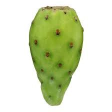Bears 3 long edible fruits with soft pulp and features colorful yellow flowers. Fresh Prickly Pears Shop Specialty Asian At H E B