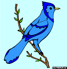 Blue jays can make many different sounds and, like other jay families, they can mimic human speech. Pin On Lipstick