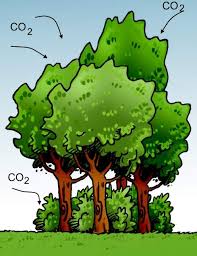 Ils sont opaques au rayonnement infrarouge émis par la surface terrestre. Le Rechauffement Climatique C Est Quoi Kidi Science