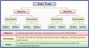 Care Plan Web Care Plans Nursing Care Plan How To Plan