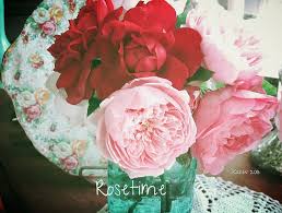 Bespoke florist which covers north east for weddings and. My English Roses Sophy S Rose The Alnwick Rose Mary Rose In A Blue Ball Jar Alnwick Rose The Alnwick Rose English Roses