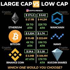 Let me put 5 low cap cryptocurrency investments on your radar! In My Opinion The Next 100x Coin Won T Be A Large Cap Coin If You Want To Find The Next 100x Then Cryptocurrency Investing Bitcoin