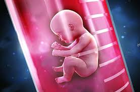 What Is The Test Tube Baby Cost In Kolkata 2021 At Best Test Tube Baby Centre