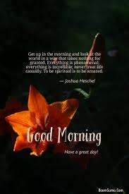 If you have a special woman in your life, you ought to make her feel loved and. 65 Lovely Good Morning Quotes About Life Boom Sumo