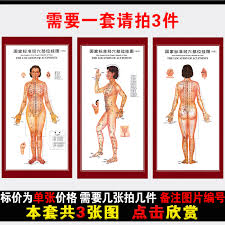 Buy National Standards For Women Meridian Points Chart