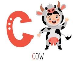 S harfi ile hayvan isimleri hakkında fikir arıyorsanız doğru adrestesiniz. R Harfi Ile Hayvan Ismi Kedi Hayvanlari Blog