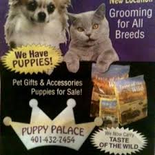 We provide quality consistent care with familiar and friendly staff. Family Pet Center 27 Photos 25 Reviews Pet Stores 1527 Smith St North Providence Ri Phone Number Yelp