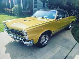 Image result for Tiger Gold 1965 GTO