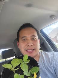 Thanks Elena Dương for the Thai eggplant and habanero! I took a tour of ur  front while u were working..... super cute how you labeled everything.  Great variety of roses and this