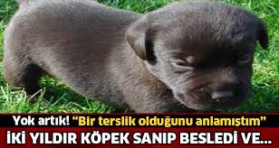 Iki Yil Kopek Sanarak Besledi Sonunda Korkunc Gercek Ortaya Cikti Fotograflari Foto Galerisi Foto Haberleri