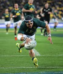 Angry lions prop mako vunipola picked up springboks star cheslin kolbe like a rag doll in cape town on saturday. 5ft 7ins Kolbe Shaping To Be One Of The Biggest Stars At The World Cup