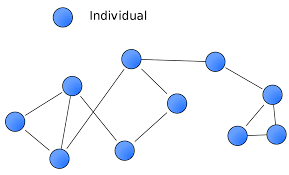 Gejala yang diakibatkan oleh suatu ciri fisik tidak ada hubunganya dengan sosial atau sosiologis, karena gejala biologis dari lahir atau. Social Group Wikipedia