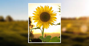 Sherry Mercer Obituary November 20, 2019