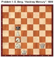 3 langkah hitam mati, remis = gagal silahkan gan. Problem Catur 3 Langkah Mati Yang Cantik Matematrick