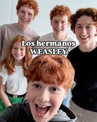 ✨️⚡️¡Ya tenemos el nuevo trío de oro de la serie de #HarryPotter! 🤩🤩🤩  #potterhead #triodeoro #gryfffindor #ronweasley #hermione #hbomax #serie  #noticias #hermionegranger #wizardingworld