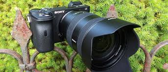 No one ever can find what we need directly; Sony Alpha A6600 Review Tom S Guide