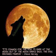 It S Common For The Dog To Bark At The Moon But If The Moon Barks Back The Dog Becomes Famous Steve Harvey Iamste Bark At The Moon Steve Harvey Fun Diys