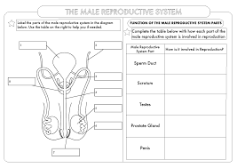 Huge Gcse Biology Worksheet Pack By Beckystoke Teaching Resources Tes Biology Worksheet Biology Biology Resources