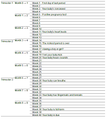 pregnancy calendar pregnancy chart